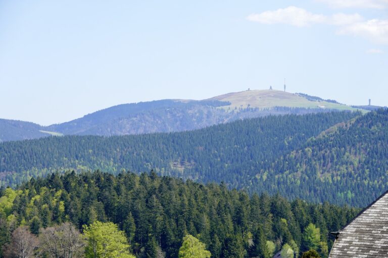 feldberg