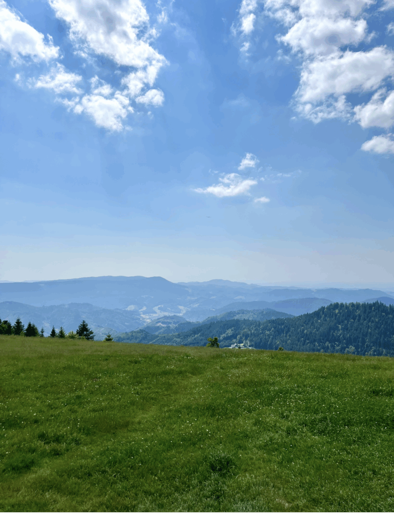 panorama-schwarzwald