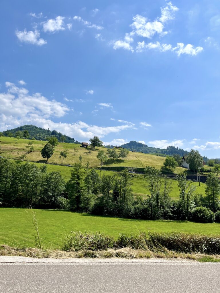 schwarzwald-landschaft