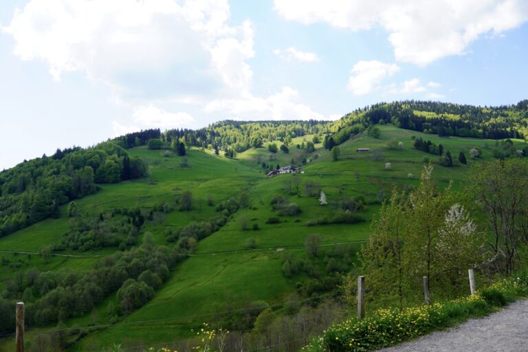 schwarzwald-landschaft-hang