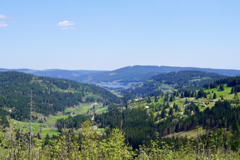 schwarzwald-landschaft-schluchsee