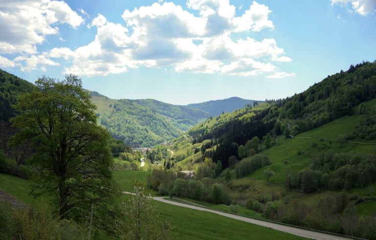 schwarzwald-panoram-landschaft